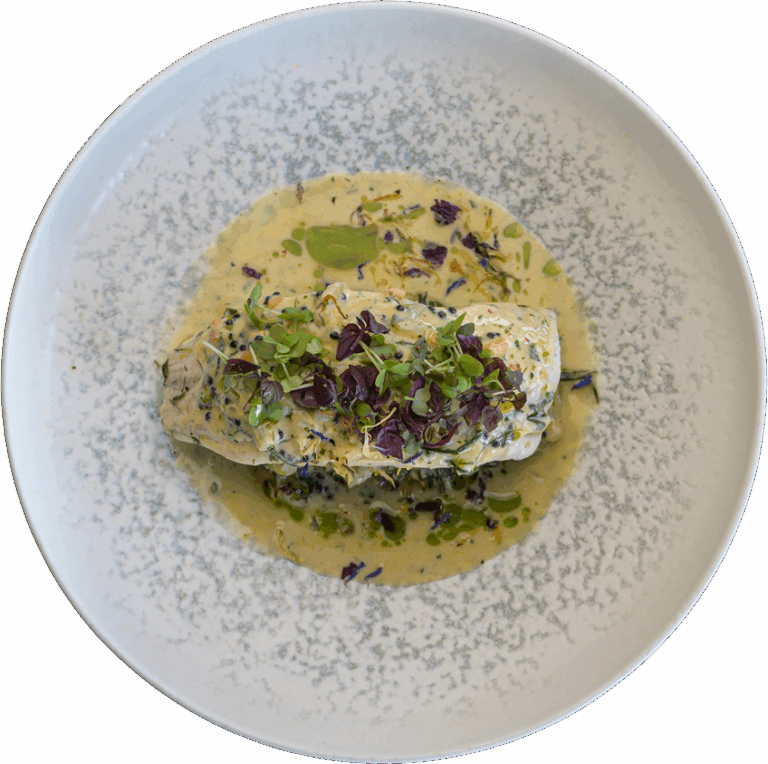 piata-ola_0000_Layer-13