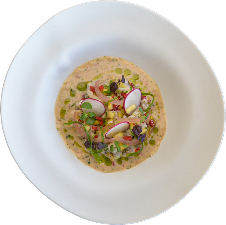 piata-ola_0009_Layer-6